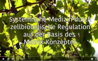 Matrix-Therapie_Workshop