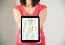 Das Lymphsystem als Schlüssel für Gesundheit und Zell-Logistik im Körper.