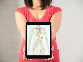 Das Lymphsystem als Schlüssel für Gesundheit und Zell-Logistik im Körper.