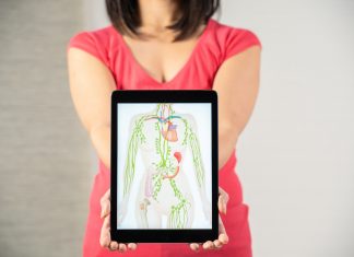 Das Lymphsystem als Schlüssel für Gesundheit und Zell-Logistik im Körper.