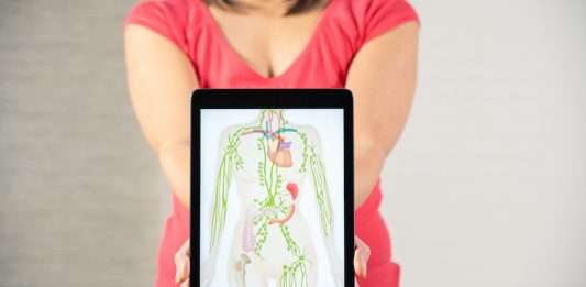 Das Lymphsystem als Schlüssel für Gesundheit und Zell-Logistik im Körper.