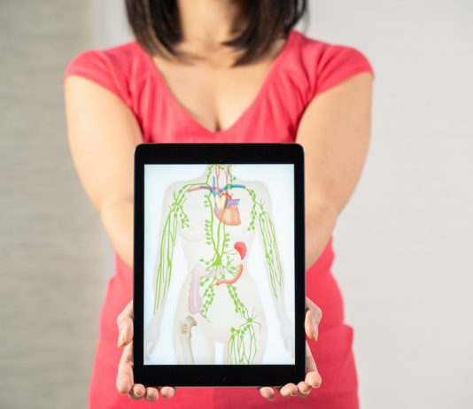 Das Lymphsystem als Schlüssel für Gesundheit und Zell-Logistik im Körper.