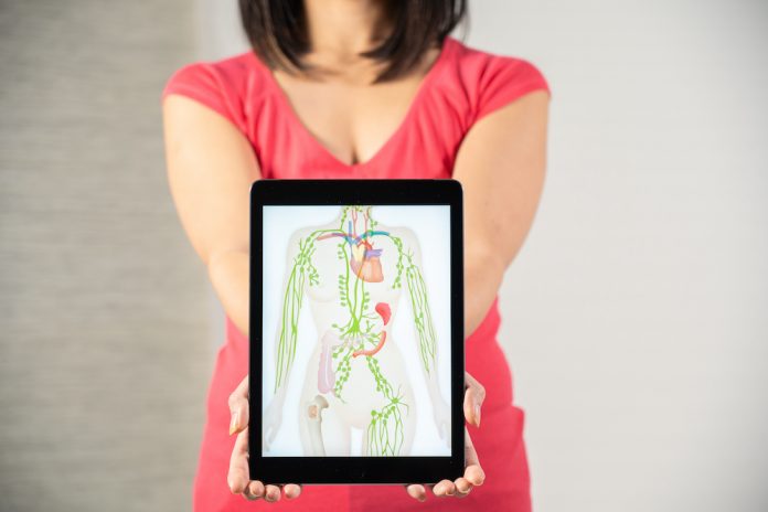 Das Lymphsystem als Schlüssel für Gesundheit und Zell-Logistik im Körper.
